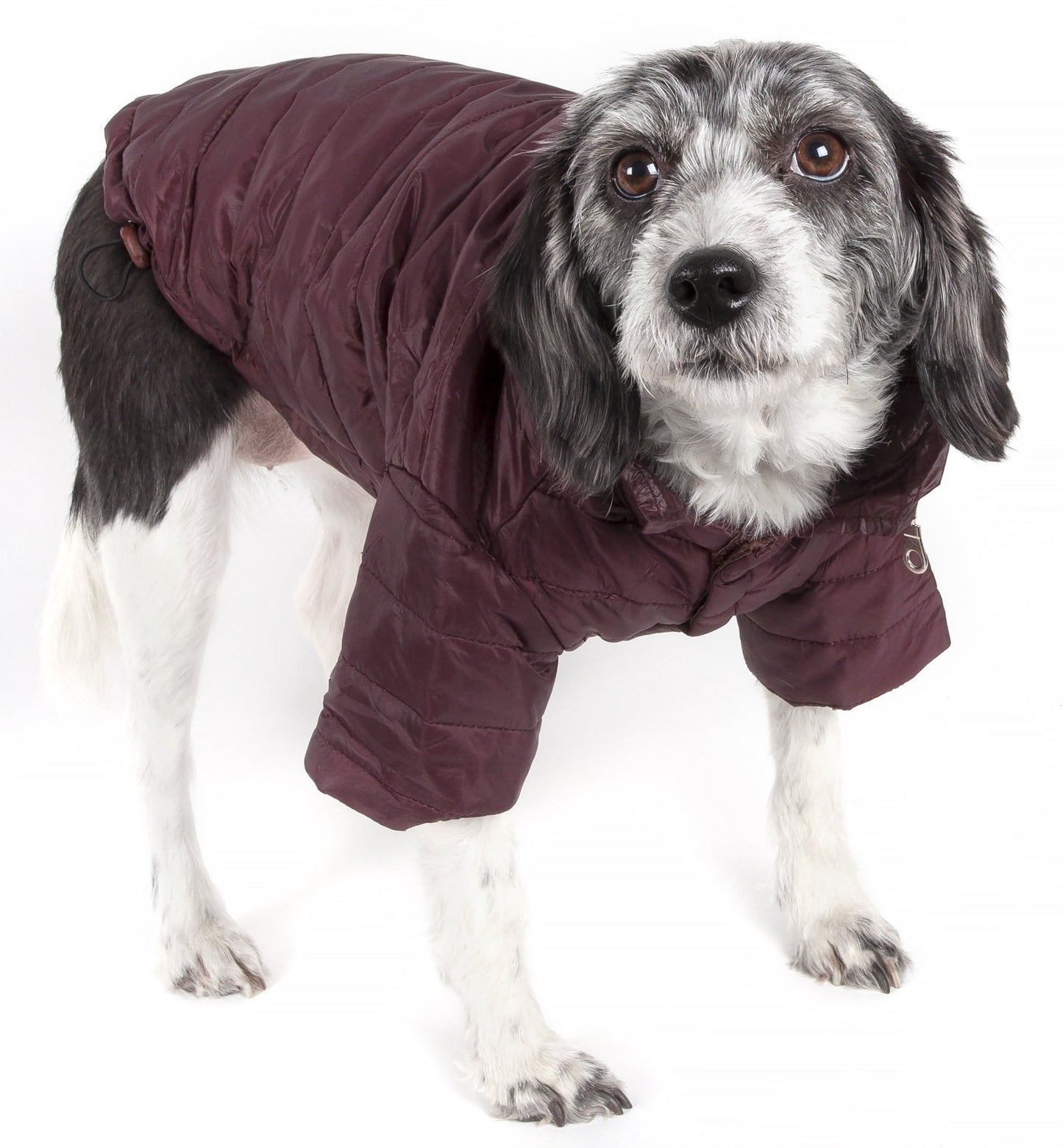 Lightweight Adjustable Pet Coat