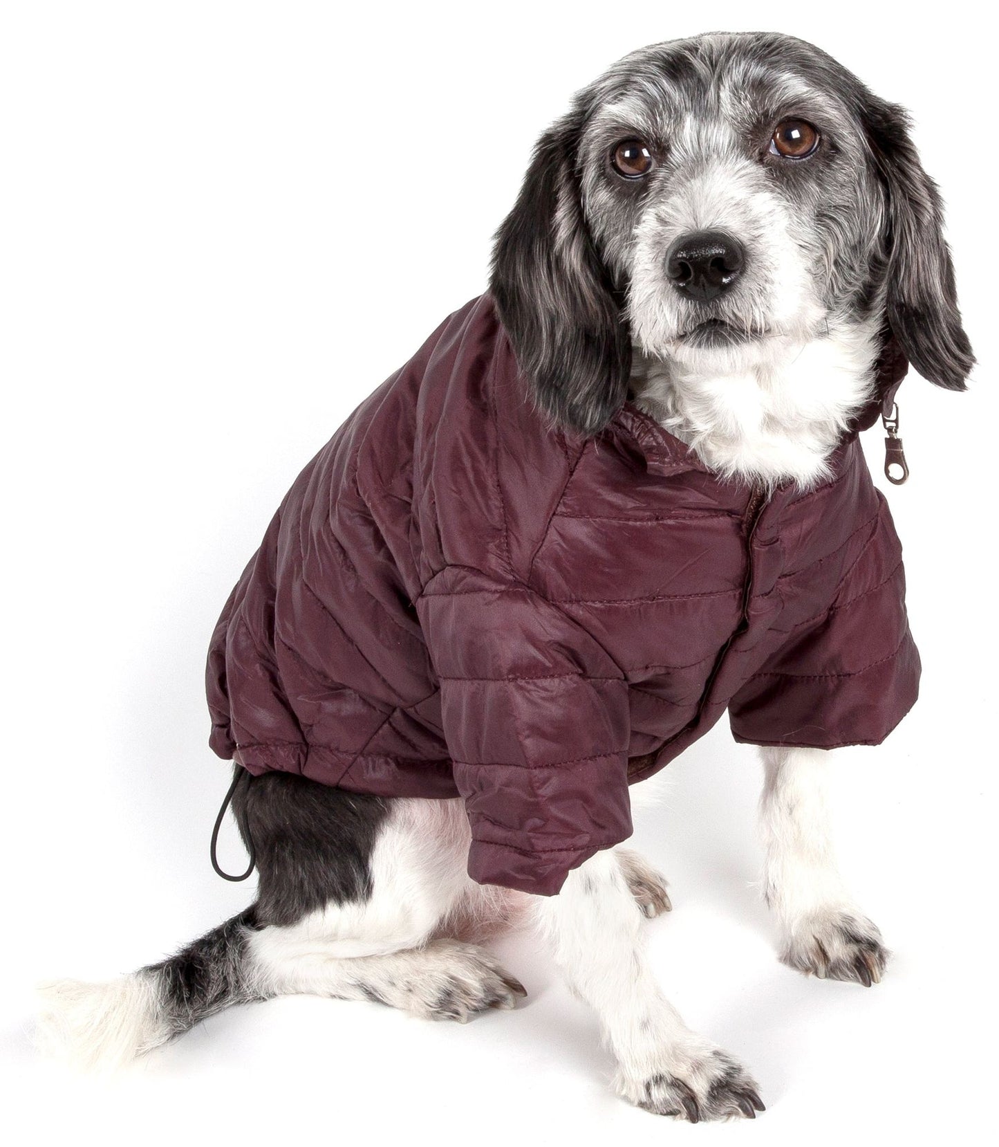 Lightweight Adjustable Pet Coat