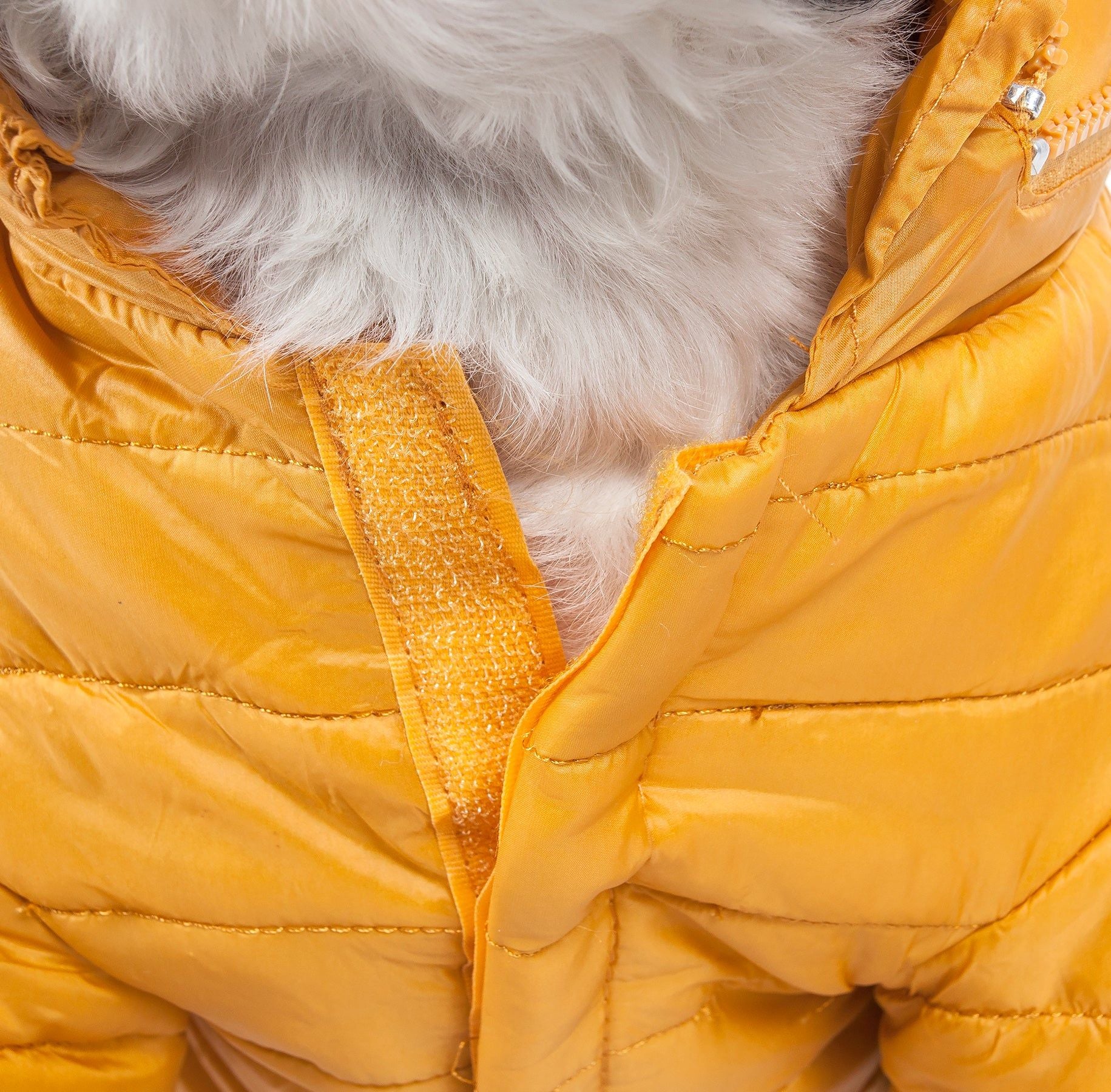 Lightweight Adjustable Pet Coat