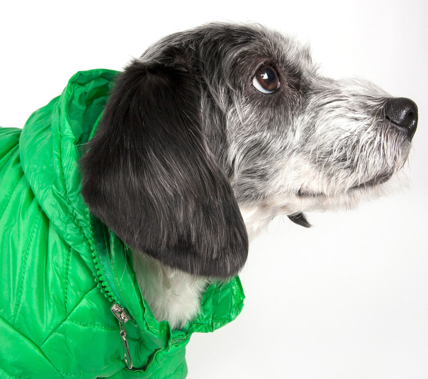 Lightweight Adjustable Pet Coat
