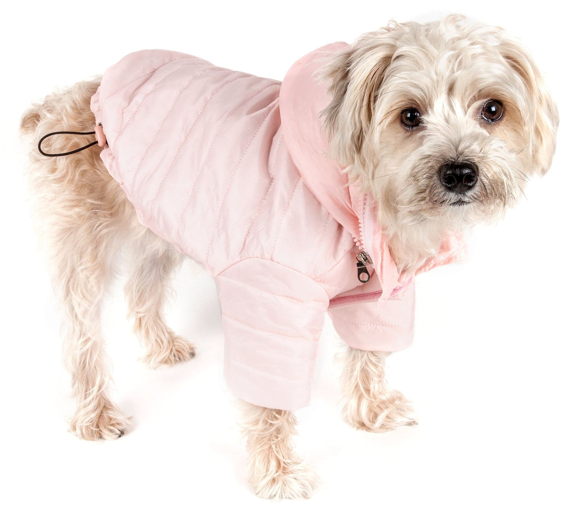 Lightweight Adjustable Pet Coat