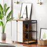 Litter Box Enclosure for 2 Cats.Cat Litter Box Furniture,Enclosed