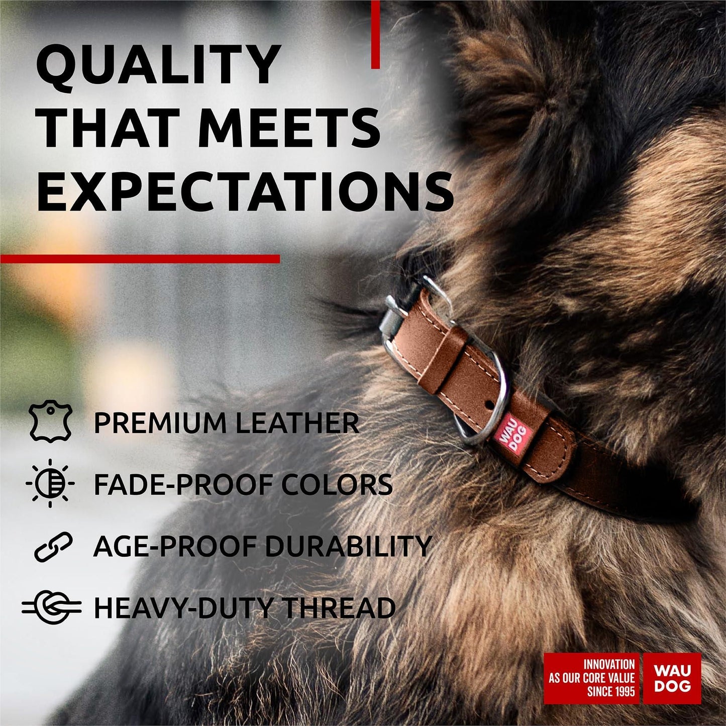 Long Lasting Leather Dog Collar for Large Dogs Medium Small Dogs