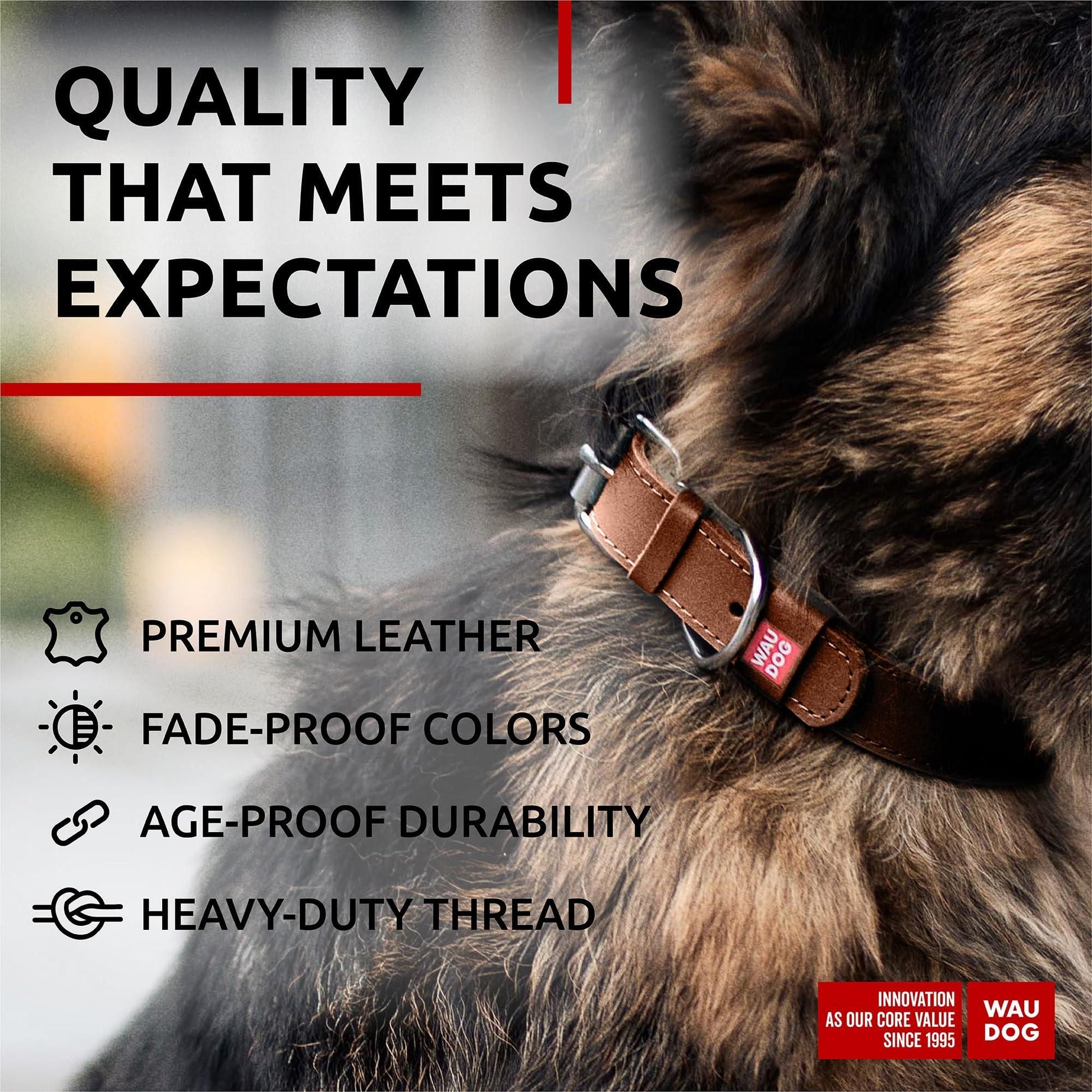 Long Lasting Leather Dog Collar for Large Dogs Medium Small Dogs