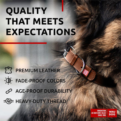 Long Lasting Leather Dog Collar for Large Dogs Medium Small Dogs