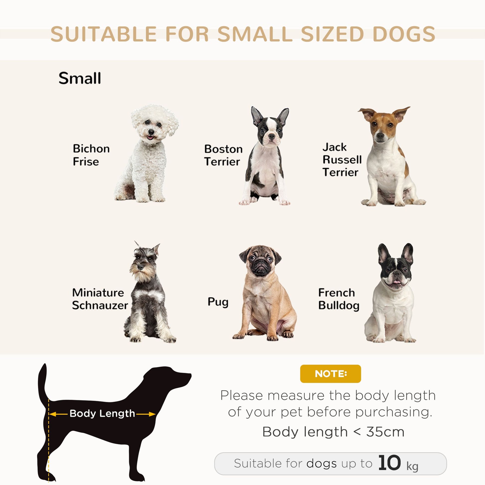 Luxury Dog Bed for Small Dogs, Hidden Storage, Soft Foam Couch