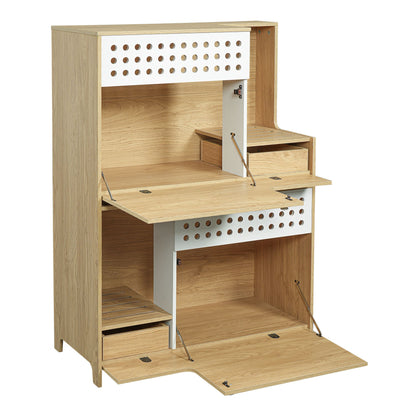Modern 2 in 1 Cat Furniture, Cat Litter Box Enclosure Side Table