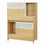 Modern 2 in 1 Cat Furniture, Cat Litter Box Enclosure Side Table