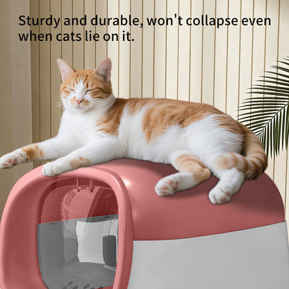 Modern Enclosed Cat Litter Box with Built-in Scoop Storage