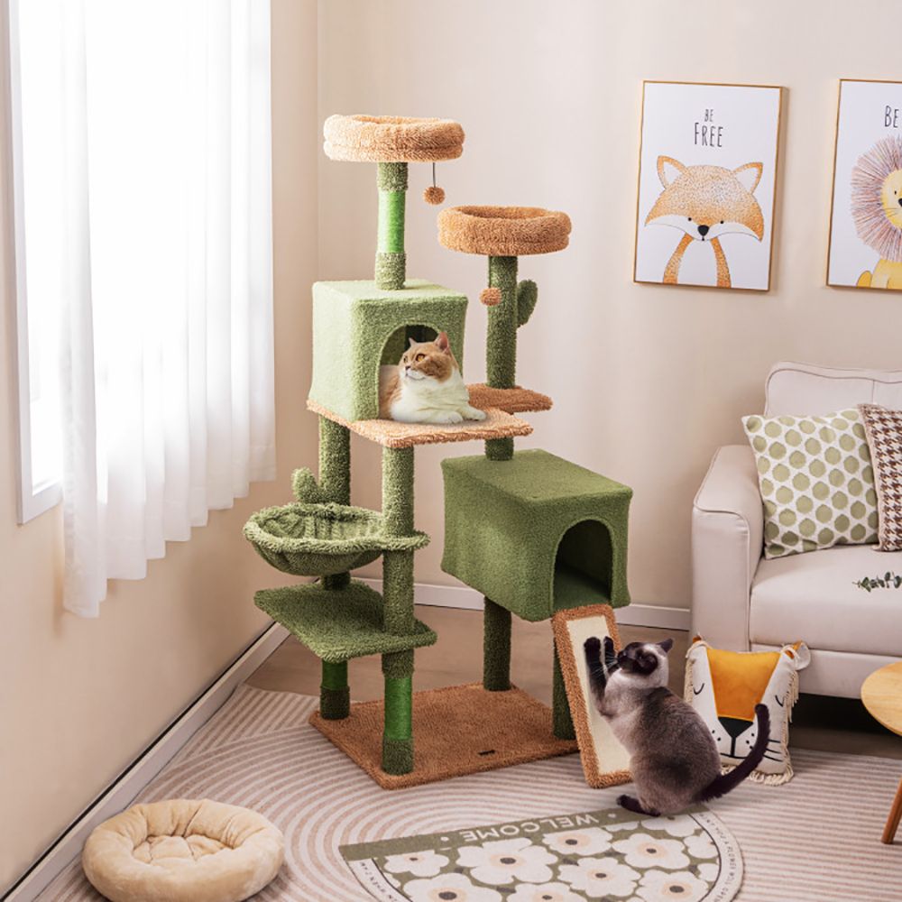 Multi-Level Cactus Cat Tree with Scratching Posts Ladder Double