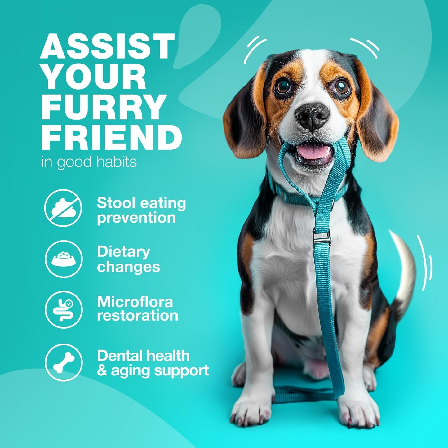 No Poo Chews for Dogs, Digestive & Immune Support Formula