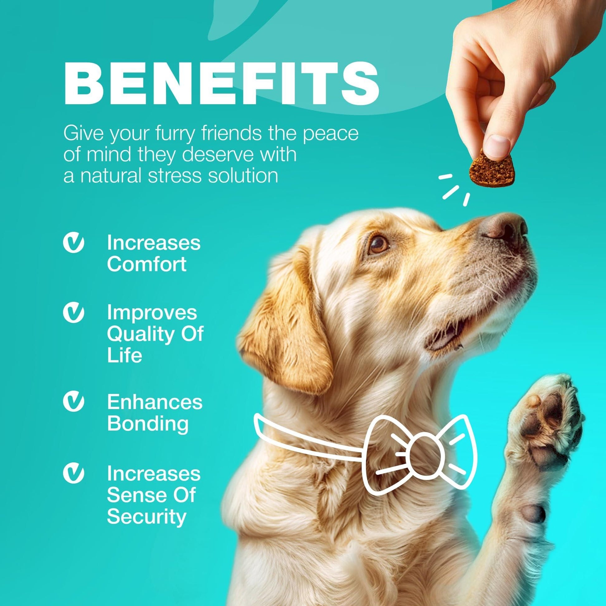 No Poo Chews for Dogs, Digestive & Immune Support Formula