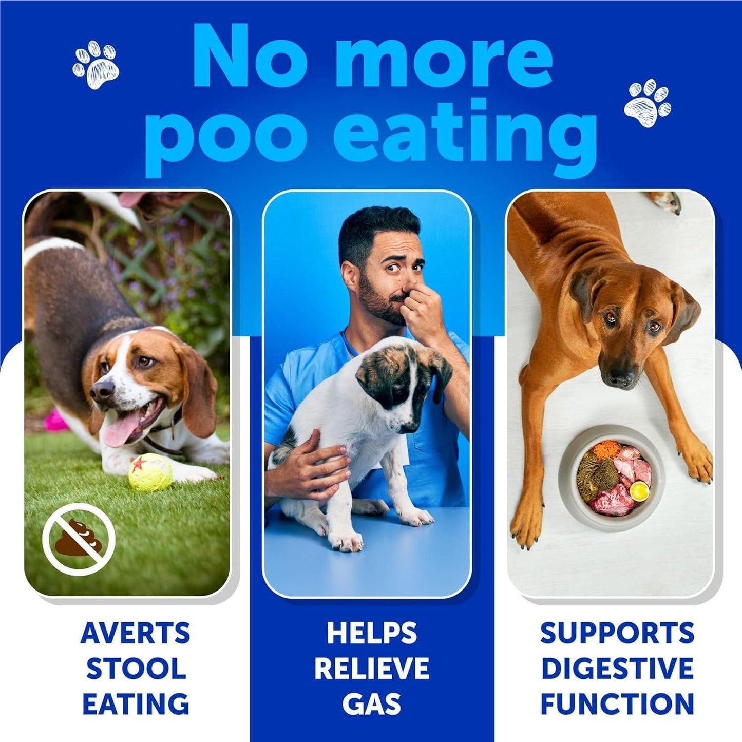 No Poo Chews for Dogs, Stool-Eating Deterrent with Enzymes