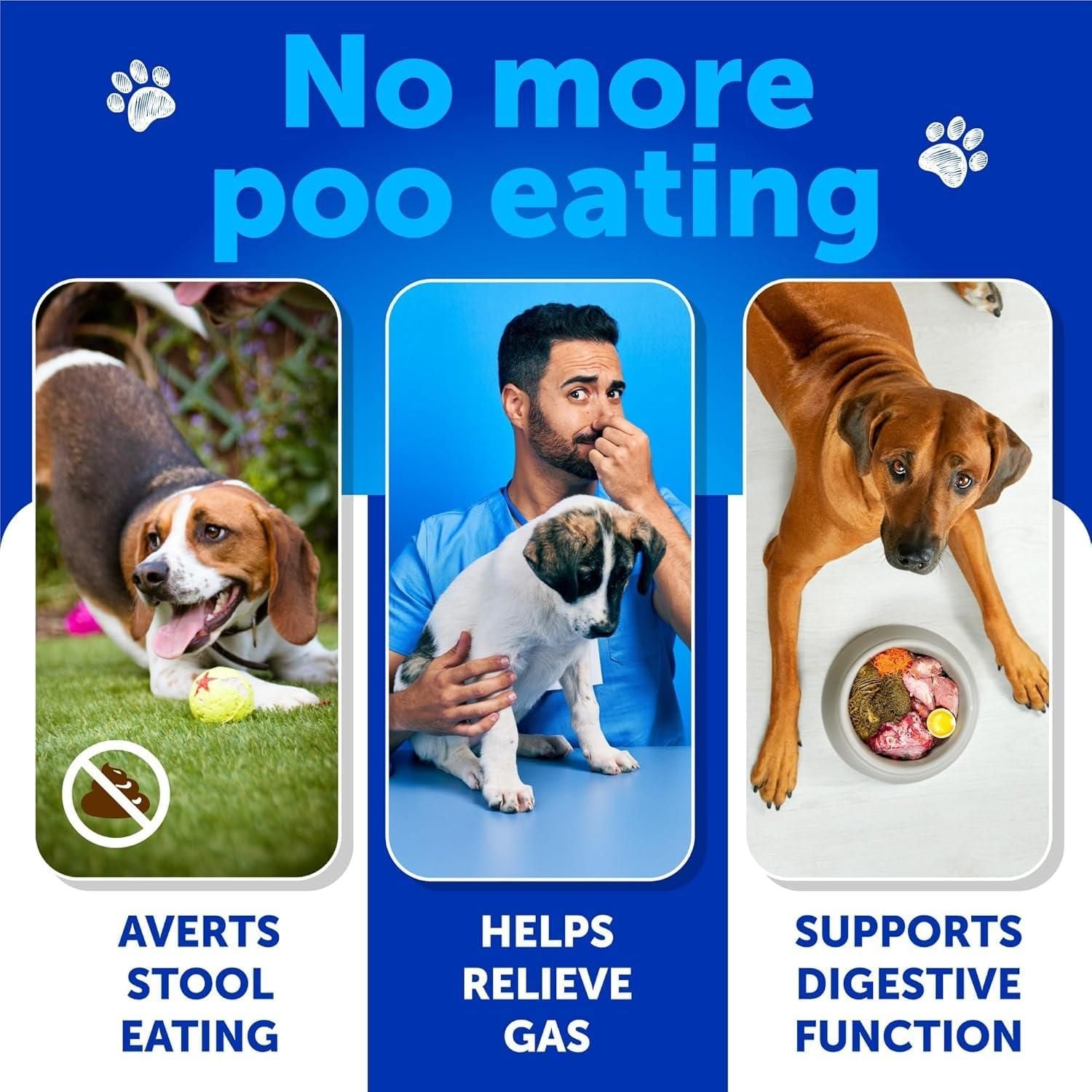 No Poo Chews for Dogs, Stool-Eating Deterrent with Enzymes