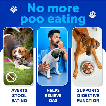 No Poo Chews for Dogs, Stool-Eating Deterrent with Enzymes