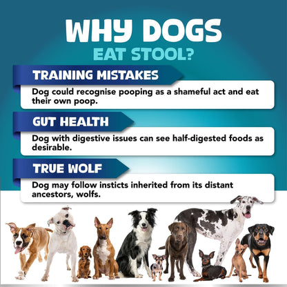 No Poo Chews for Dogs with Probiotics & Digestive Enzymes