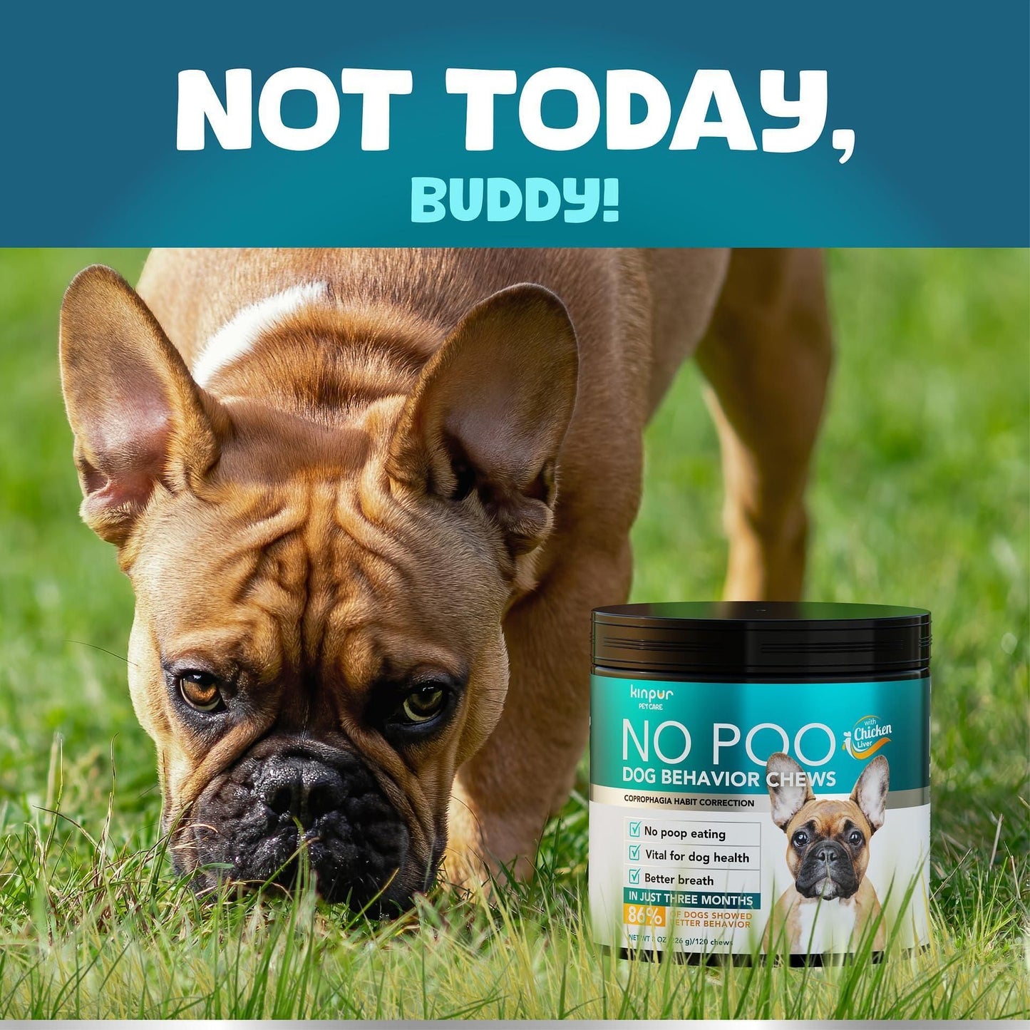 No Poo Chews for Dogs with Probiotics & Digestive Enzymes