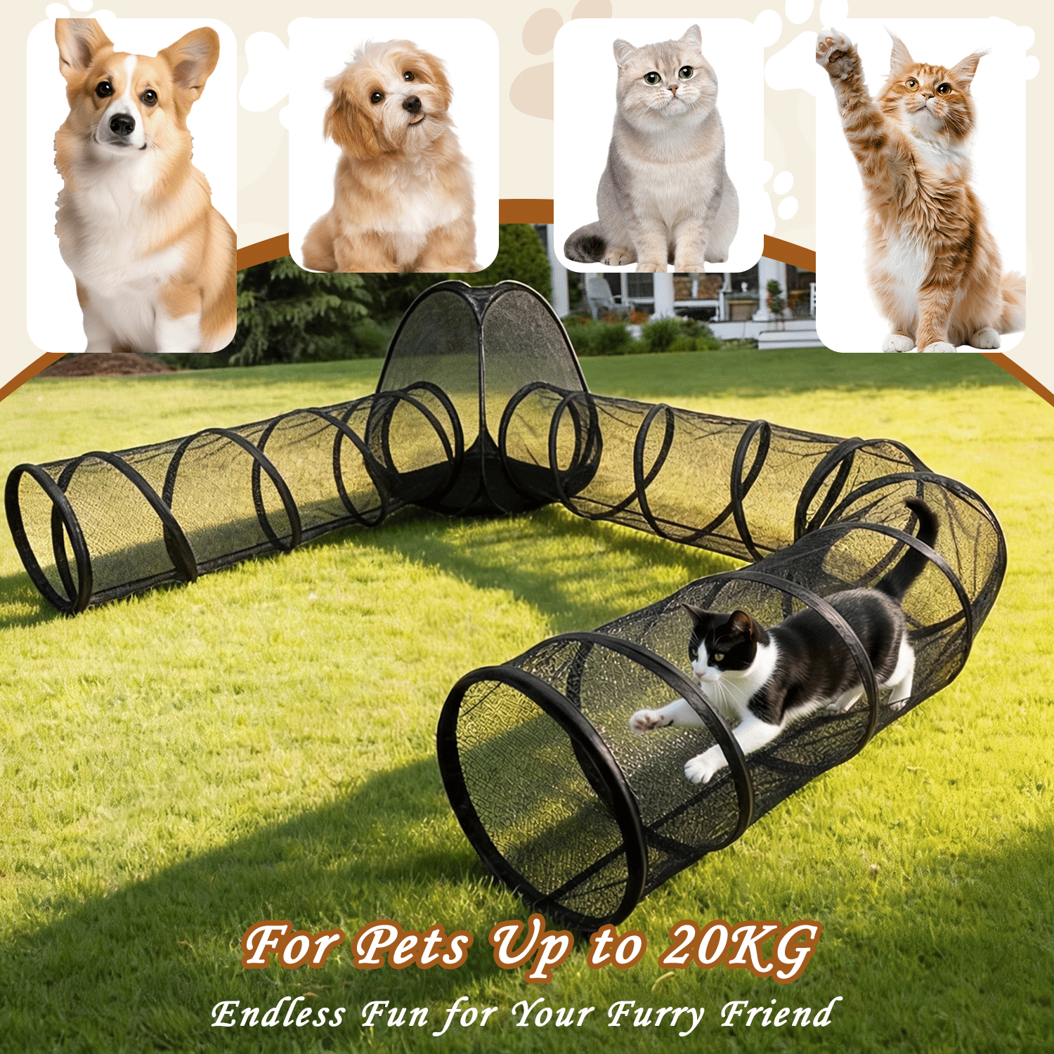 Outdoor Cat Enclosure, Portable Cat Tents for Outside, Cage Free