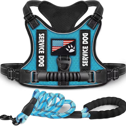 Pet Harness and Leash Set for Dog & Cat; Adjustable No Pull Service