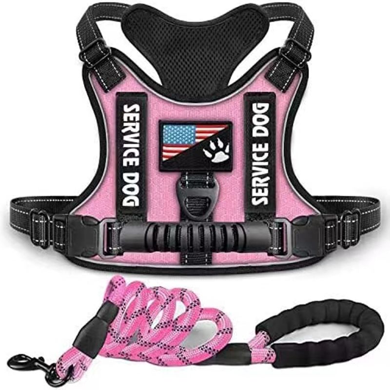 Pet Harness and Leash Set for Dog & Cat; Adjustable No Pull Service