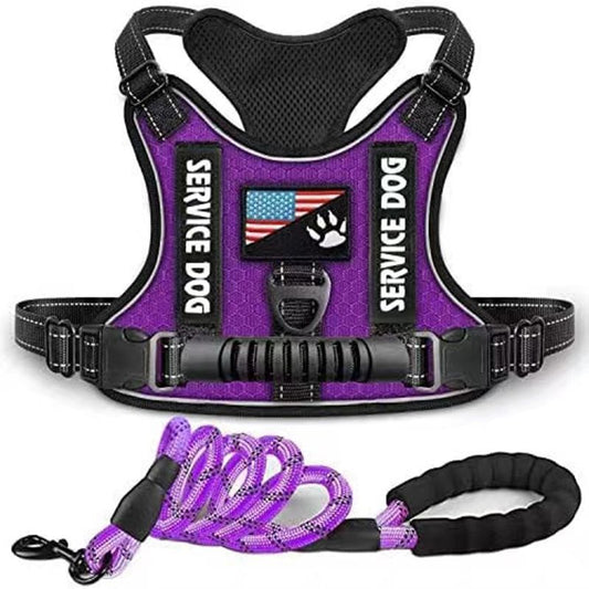Pet Harness and Leash Set for Dog & Cat; Adjustable No Pull Service