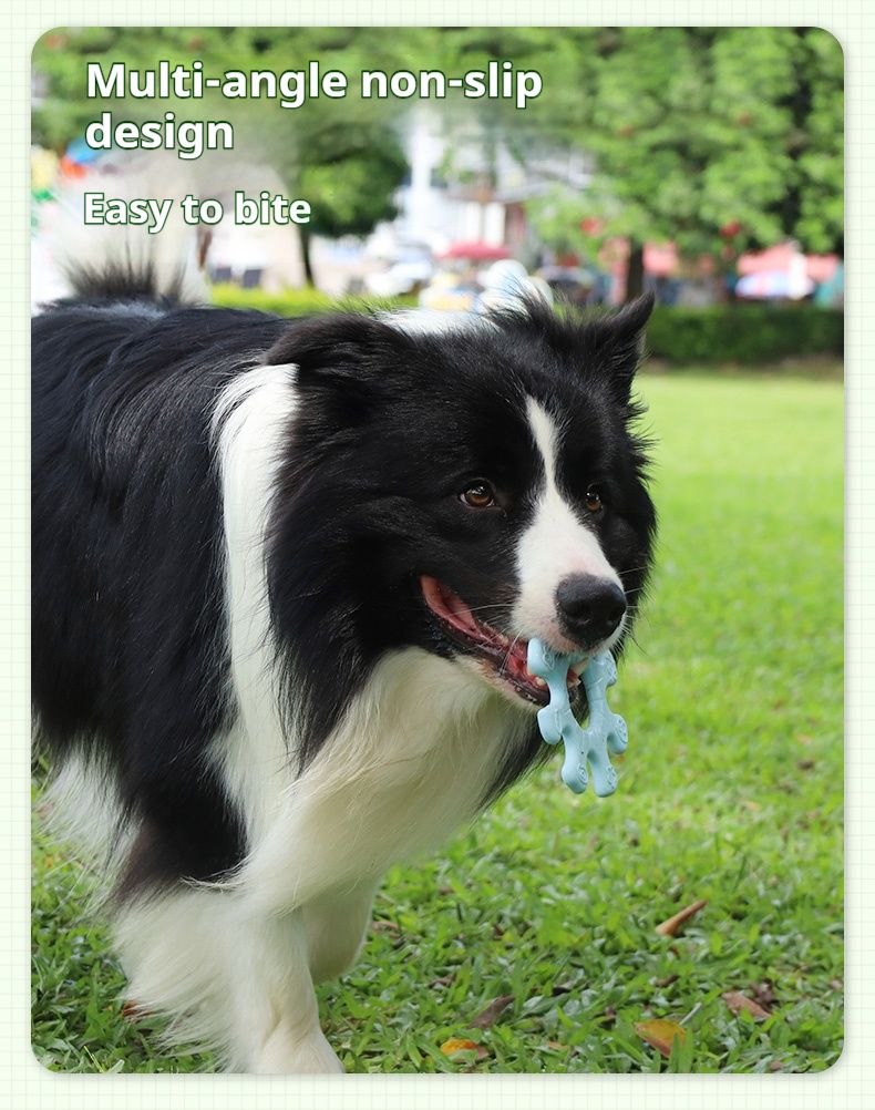 Pet Interactive Flywheel,Dog Toy,Fun Interactions Buildstronger