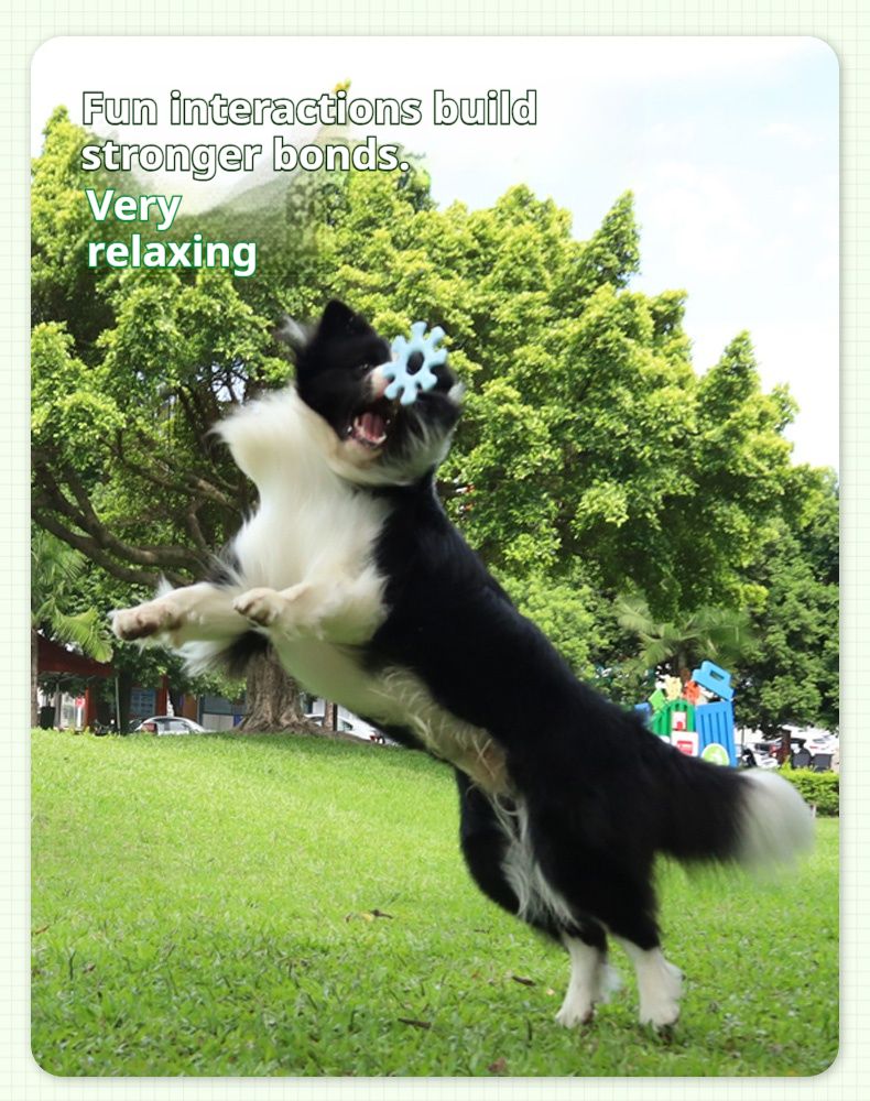 Pet Interactive Flywheel,Dog Toy,Fun Interactions Buildstronger