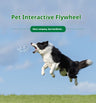 Pet Interactive Flywheel,Dog Toy,Fun Interactions Buildstronger