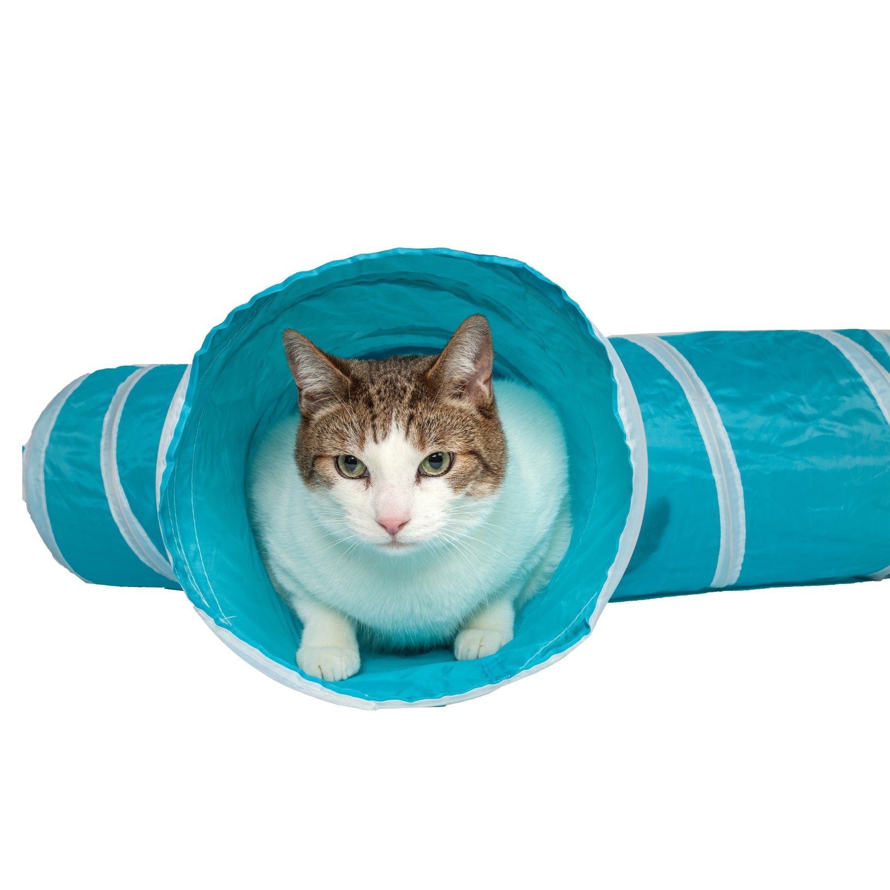 3-Way Kitting-Go-Seek Interactive Collapsible Passage Kitty Cat