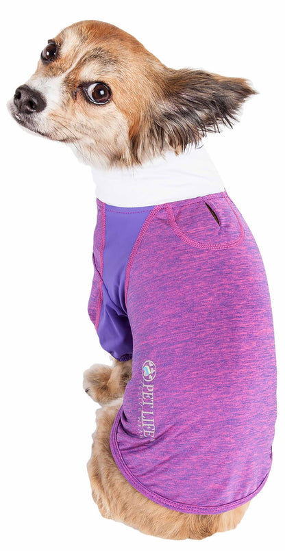Active 4-Way Stretch Performance Long Sleeve Dog T-Shirt