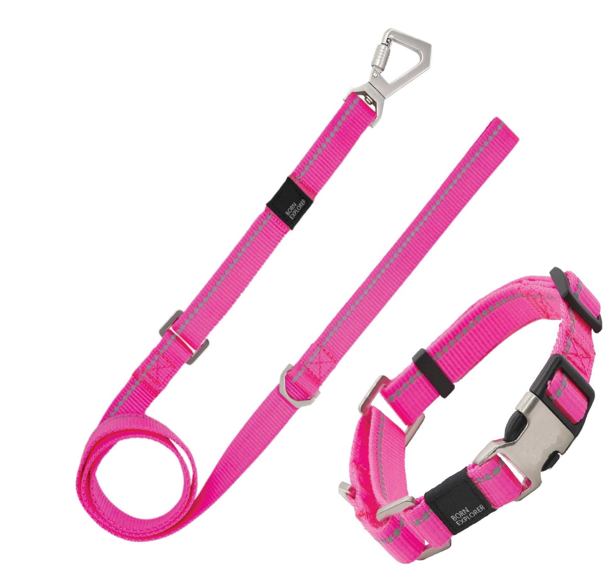 Outdoor Series 3M Reflective 2-in-1 Durable Martingale Training Dog