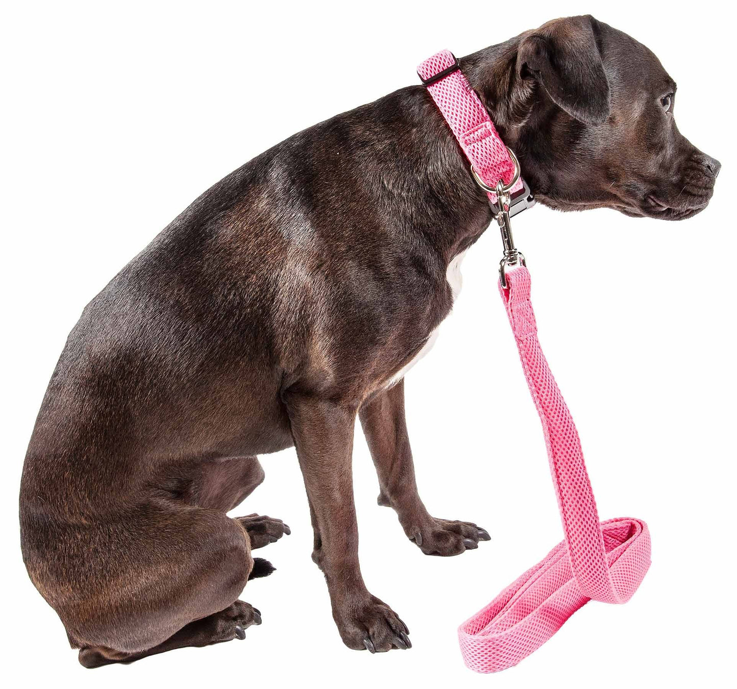 2-in-1 Dual Sided Comfortable and Breathable Adjustable Mesh Dog