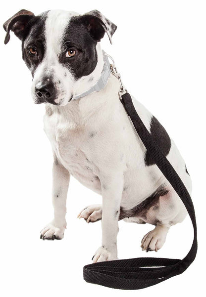 Dual Sided Comfortable and Breathable Adjustable Mesh Dog Leash