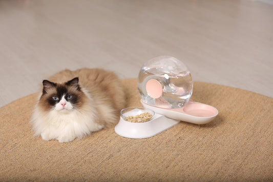 Snail Shaped 2-in-1 Automated Gravity Pet Filtered Water Dispenser