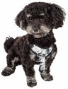 Mesh Reversible and Breathable Adjustable Dog Harness