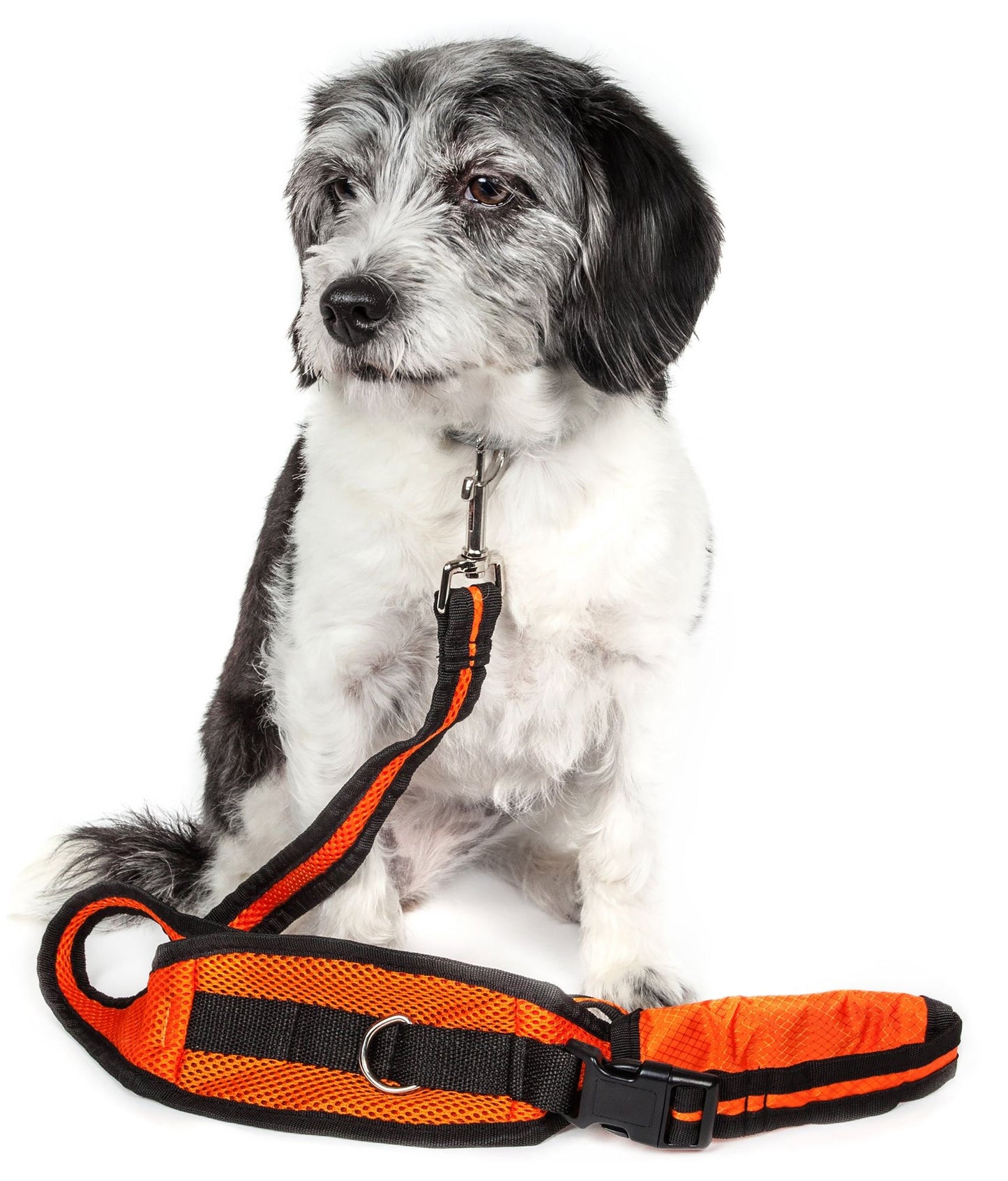 Echelon Hands Free and Convertible 2-in-1 Training Dog Leash