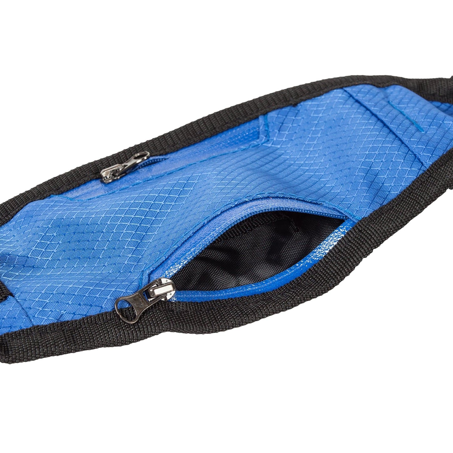 Echelon Hands Free and Convertible 2-in-1 Training Dog Leash