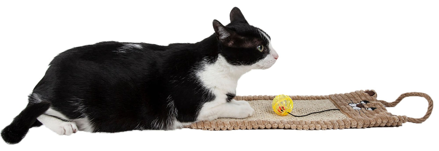 Eco-Natural Sisal and Jute Hanging Carpet Kitty Cat Scratcher