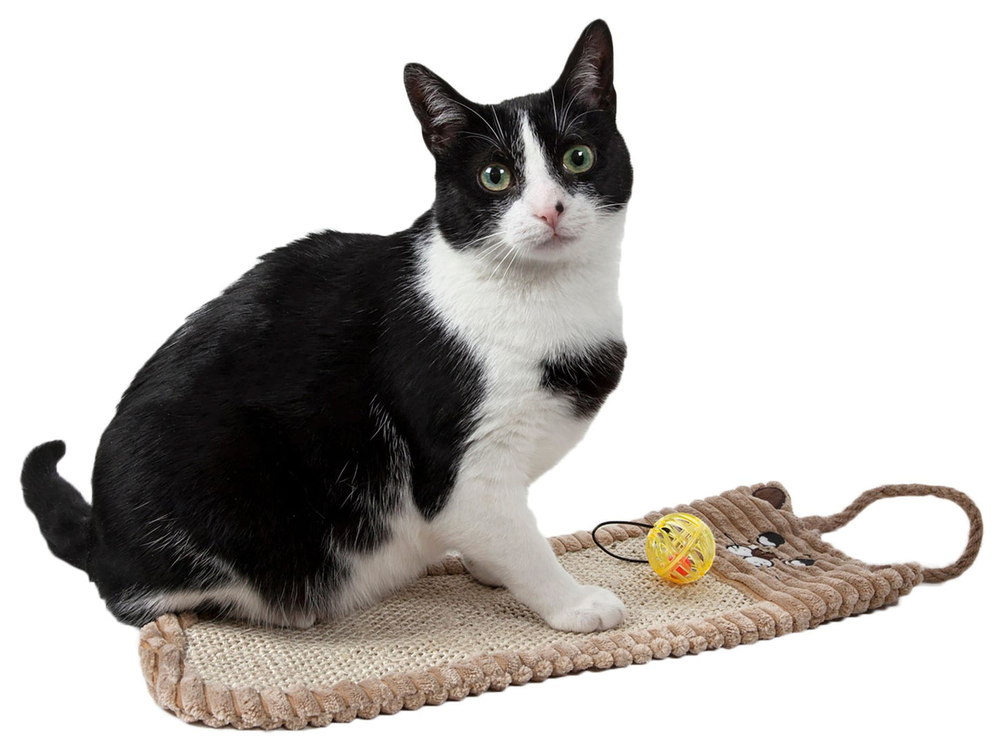 Eco-Natural Sisal and Jute Hanging Carpet Kitty Cat Scratcher