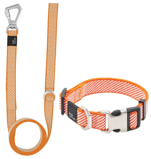 Outdoor Series 2-in-1 Convertible Dog Leash and Collar