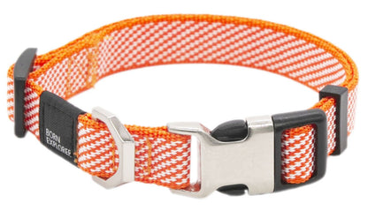 Outdoor Series 2-in-1 Convertible Dog Leash and Collar