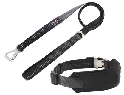 2-in-1 Shock Absorbing Neoprene Padded Reflective Dog Leash