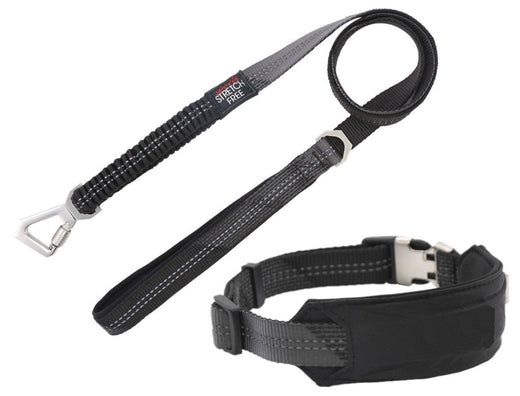 2-in-1 Shock Absorbing Neoprene Padded Reflective Dog Leash, Black/Orange/Blue