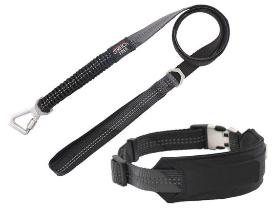 2-in-1 Shock Absorbing Neoprene Padded Reflective Dog Leash