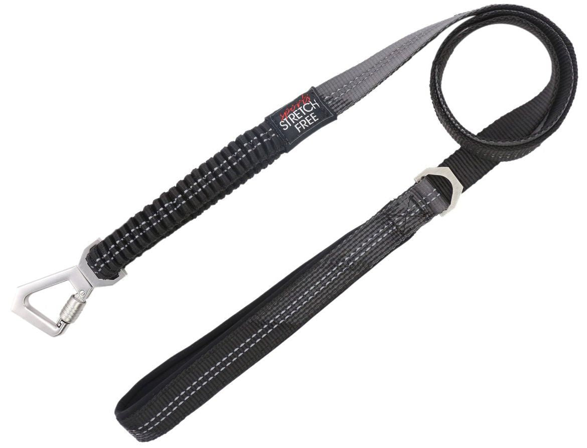 2-in-1 Shock Absorbing Neoprene Padded Reflective Dog Leash