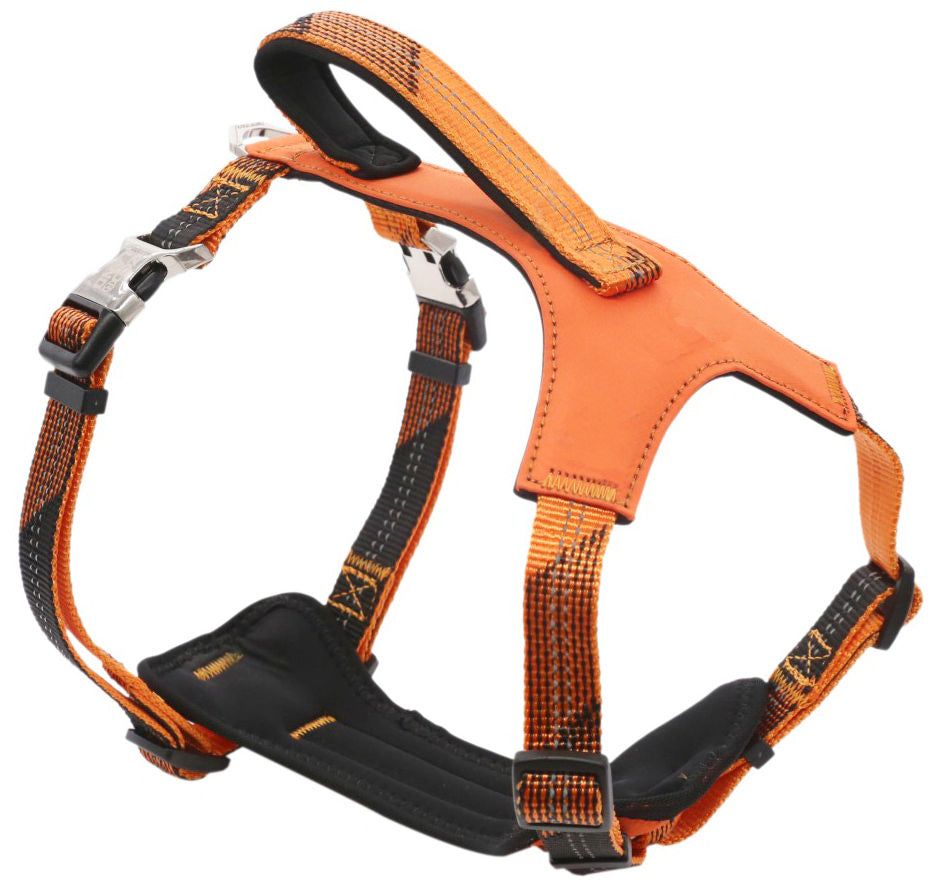 2-in-1 Shock Absorbing Neoprene Padded Reflective Dog Leash