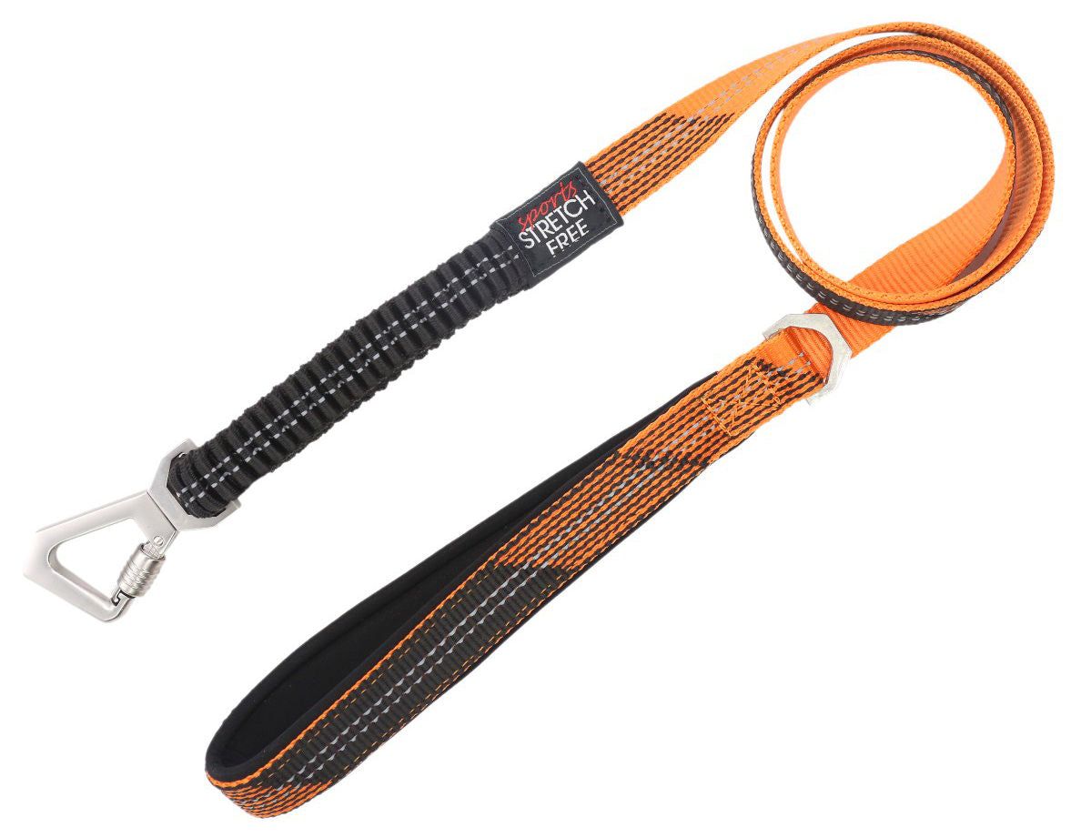 2-in-1 Shock Absorbing Neoprene Padded Reflective Dog Leash