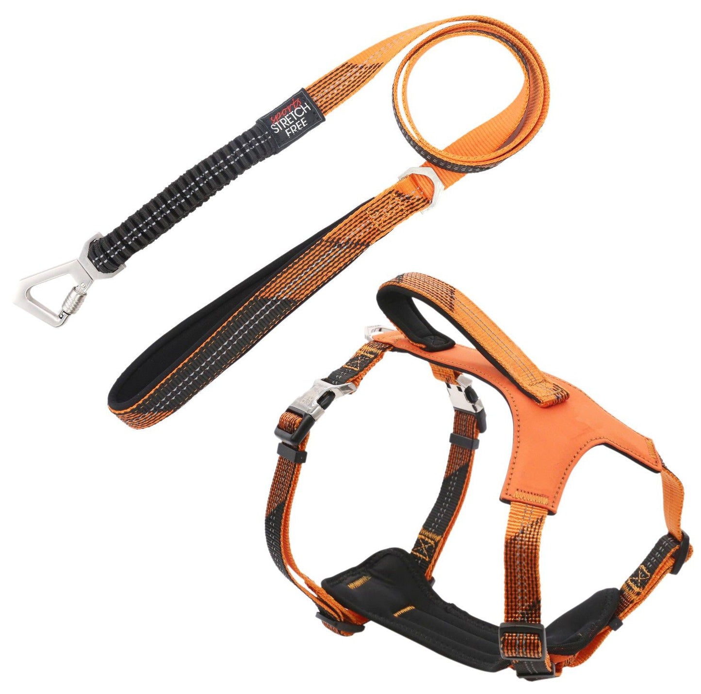 2-in-1 Shock Absorbing Neoprene Padded Reflective Dog Leash