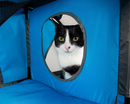 Kitty-Play Obstacle Travel Collapsible Soft Folding Pet Cat House