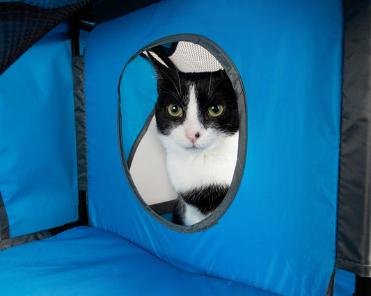 Kitty-Play Obstacle Travel Collapsible Soft Folding Pet Cat House